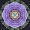 9C42C031-5E3C-42F5-BB39-97C87C5EAEC1.jpeg