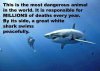 7F562C0F-9B72-45F5-BFB4-0AB4E6A4EE82.jpeg