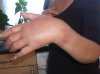 sept 30 2014  wrist 003.JPG