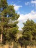 ImageUploadedByDCUK Forum1412522164.207467.jpg
