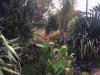 ImageUploadedByDCUK Forum1413710355.333947.jpg
