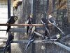 ImageUploadedByDCUK Forum1414346262.923270.jpg