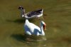 ImageUploadedByDCUK Forum1414649998.629757.jpg ImageUploadedByDCUK Forum1414649998.629757.jpg