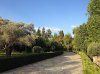 ImageUploadedByDCUK Forum1415516667.347841.jpg