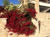 ImageUploadedByDCUK Forum1415552106.355974.jpg