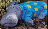 image_2022-03-23_031534.png