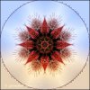 3FF17D35-D3E4-4FEA-A884-5D82CF59F57A.jpeg