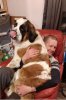al and ginnie.jpg