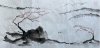 upload_2022-4-10_8-11-1.jpeg