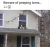 E9327713-F451-4F99-BADD-E1D817869903.png