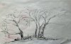 upload_2022-4-19_8-9-49.jpeg