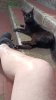 IMG-20220417-WA0013_resize_76.jpg