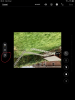 941E8D19-BBA1-46DC-9F19-088354192B44.png