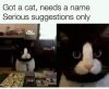 7922E0DB-E3B1-4CF3-83F7-16D0EFD4FDA6.jpeg