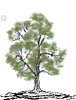 upload_2022-5-6_7-8-52.jpeg