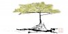 upload_2022-5-8_6-50-48.jpeg