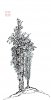 upload_2022-5-12_7-21-22.jpeg