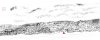upload_2022-5-25_7-48-39.jpeg