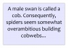 cobwebs.png