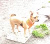 IMG_20220606_161550.jpg