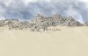 upload_2022-6-25_7-2-3.jpeg