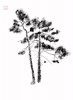 upload_2022-7-17_7-34-38.jpeg