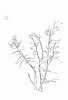 upload_2022-7-19_7-31-32.jpeg