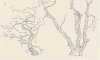 upload_2022-7-25_7-49-26.jpeg