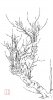 upload_2022-7-31_7-34-11.jpeg
