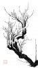 upload_2022-8-1_7-8-46.jpeg