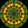 CA422AD3-CA4A-465D-9EC9-0F6EC41529C1.jpeg