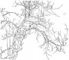 upload_2022-8-3_8-18-25.jpeg