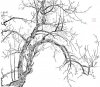 upload_2022-8-4_6-29-52.jpeg