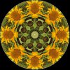 A2EE182B-1807-49B7-B696-ED3BC93F28AD.jpeg
