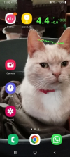 1664103937013.png