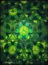 A0524BE1-29FC-4C4F-9C1A-EA0C711075A7.jpeg A0524BE1-29FC-4C4F-9C1A-EA0C711075A7.jpeg