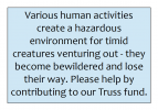 fund.png