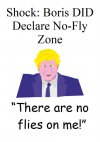 no fly zone.jpg