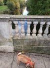 IMG_20221024_155653_resize_47.jpg