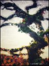 1581D125-EBC0-4010-8317-04EF7838437D.jpeg