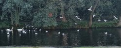 IMG_20221112_162723~2.jpg
