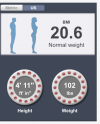 gowest bmi 1.png