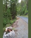 F8447C00-E067-4F4E-BC4F-1D0C169E8D11.jpeg