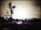79514D3A-5560-4FDF-ABF6-C5CA8AE09EE5.jpeg