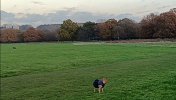 IMG_20221208_122020.jpg
