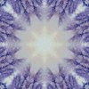 77148268-ABA5-4D42-AE4D-9E03AEFCC2B7.jpeg