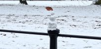 IMG_20221212_181007.jpg