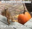 11215E98-21D5-47EC-AEDF-1F92B766174F.jpeg