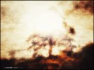 1BA46B03-C150-40AB-AD50-0D31872A9FCA.jpeg