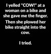 1F7472C9-0BCA-4B9A-8E4B-84C23B4A3C50.jpeg